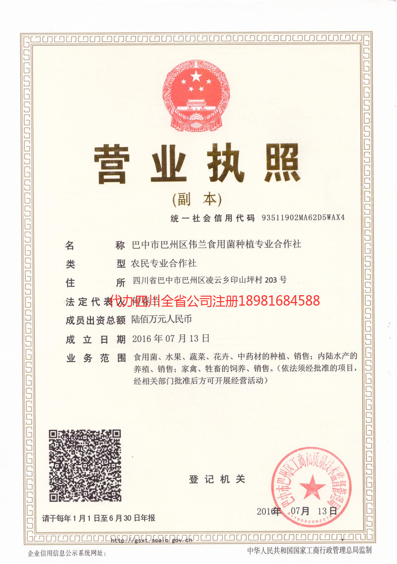 娄底娄底伟兰食用菌种植专业合作社